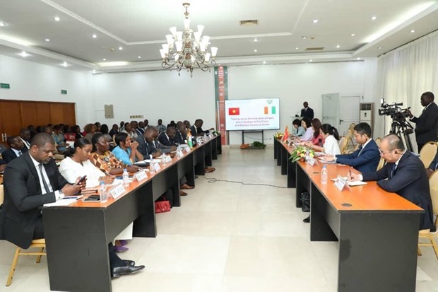 At the third Vietnam- Côte d'Ivoire political consultation meeting (Photo: VNA)