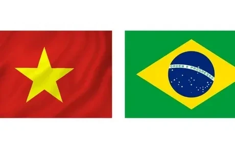 Vietnam and Brazil established diplomatic ties on May 8, 1989. (Photo: VNA)
