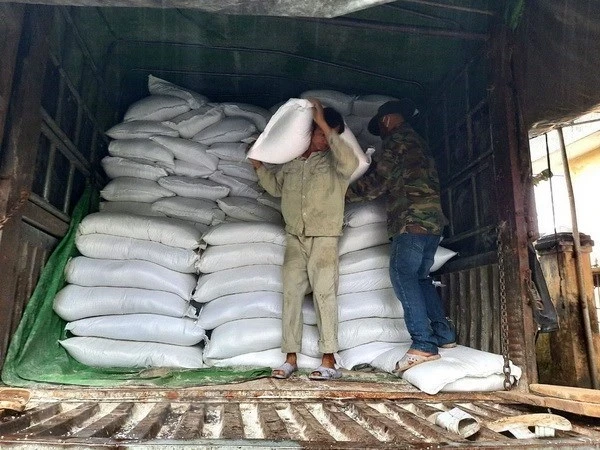 Rice will be allocated to five provinces to support local people in the light of lean season in 2024. (Photo: VNA)