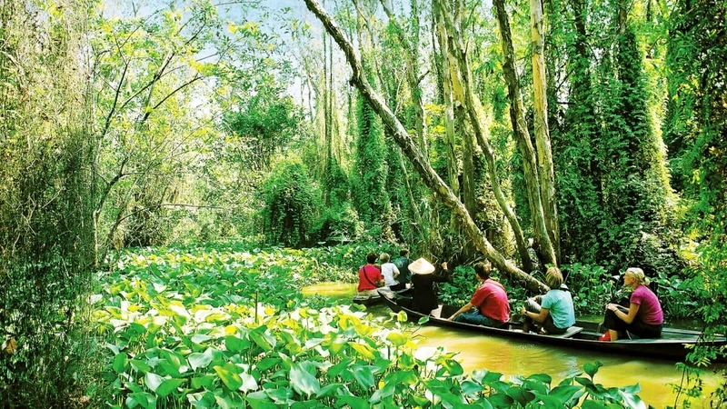 Experiencing Dong Thap Muoi Wetland Conservation Area in Long An Province. (Photo: Lan Phuong)