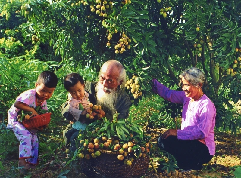 Family tradition contributes to the beauty of Vietnamese culture.