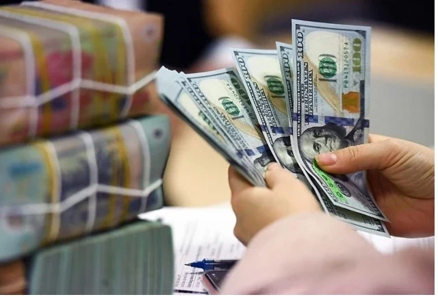 A bank teller counts the dollar at a transaction office in Hanoi. (Photo: VNA)