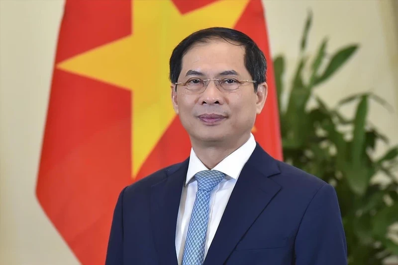 Minister of Foreign Affairs Bui Thanh Son (Photo: VNA)