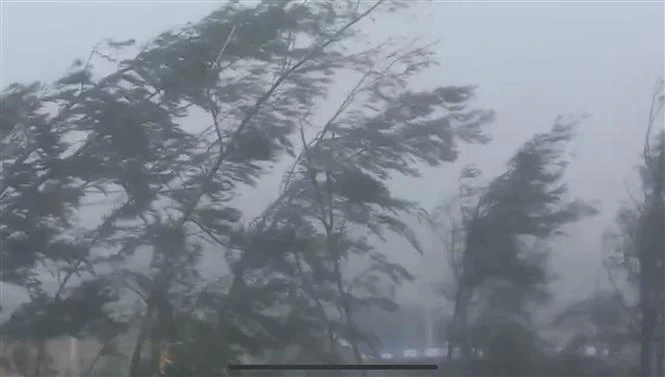 Strong winds and rains recorded in the Bach Long Vi area on September 7 morning. (Photo: VNA)