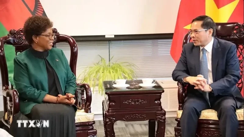 Deputy Prime Minister and Foreign Minister Bui Thanh Son (R) and Malawi’s Foreign Minister Nancy Tempo before the signing ceremony of a joint statement on establishment of diplomatic relations between Vietnam and Malawi. (Photo: VNA) 