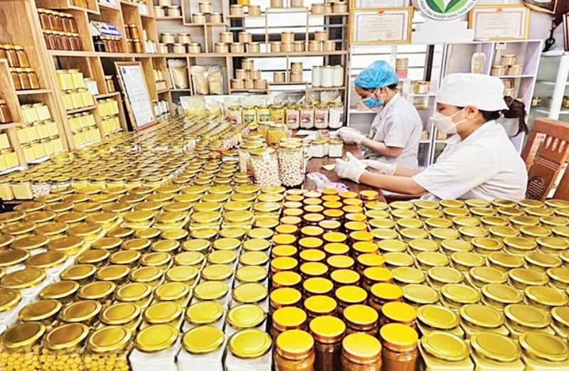 Packaging products after deep processing at Tan Thanh Agricultural Cooperative.