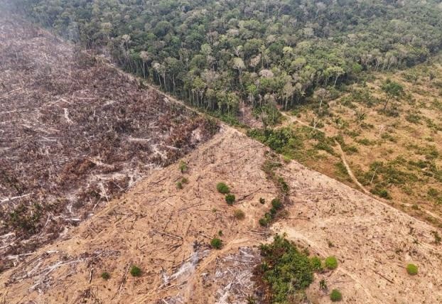 A drone view of a forest fire devastation in the Amazon in an area of the Trans-Amazonian Highway BR230 in Labrea, Amazonas state, Brazil September 4, 2024. (Photo: Reuters) 