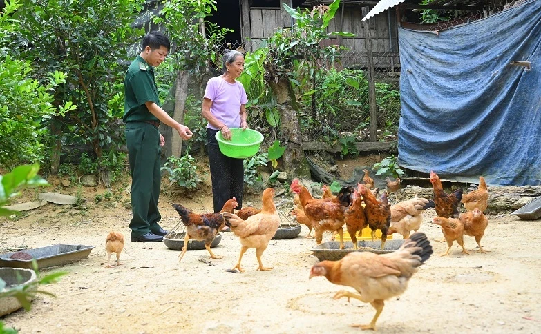 Mrs Xinh’s family’s chicken flock, supported by Phuc Son Border Guard Station, is developing well.