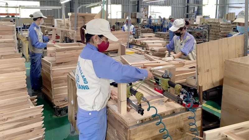 Wood production line for export of Woodsland Tuyen Quang Joint Stock Company.