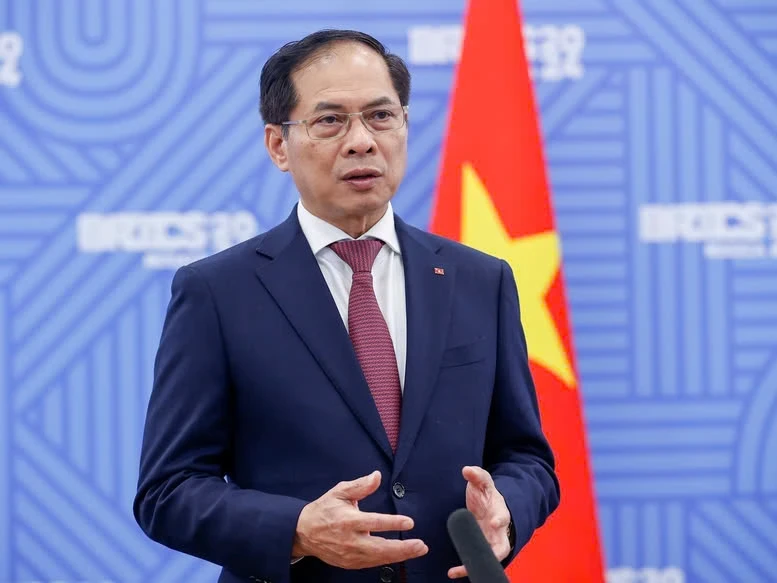 Deputy Prime Minister and Minister of Foreign Affairs Bui Thanh Son. (Photo: Vietnam government portal)