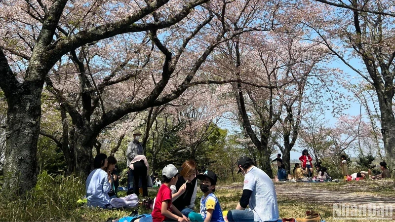 Japan welcomes a large number of international visitors in the first four months of 2024. (Photo: HOA PHAM)
