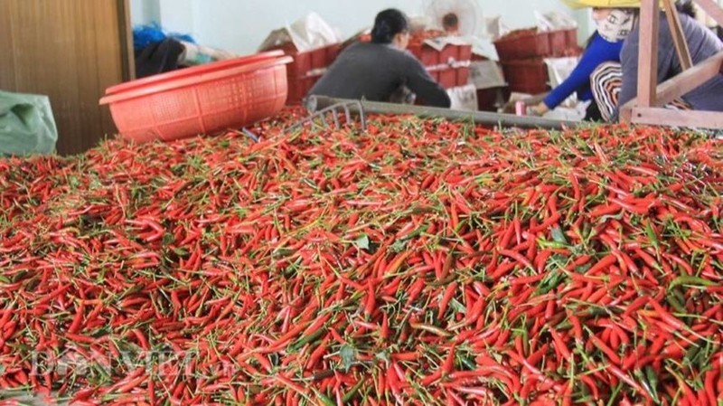 The Ministry of Agriculture and Environment signed protocols on the exports of chilli, passion fruit, bird’s nest, and rice bran to China