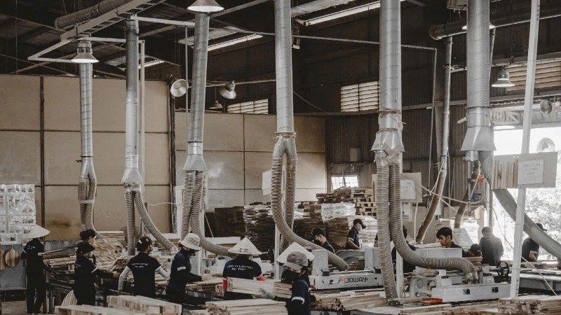 Export production at Thien Loc Import-Export Company. (Photo: BAO VAN)