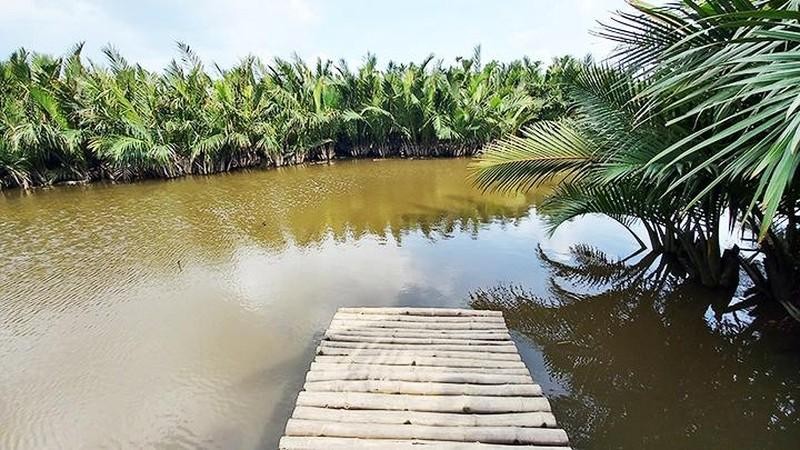 Cam Thanh’s nipa palm forest