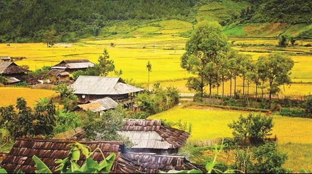 The assistance in house building and land reclamation aims to help with the implementation of the national target programme on socio-economic development in ethnic minority and mountainous area. (Photo: VNA)