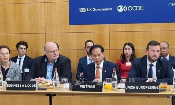 Vietnamese Foreign Minister Bui Thanh Son speaks at the event (Photo: VNA)
