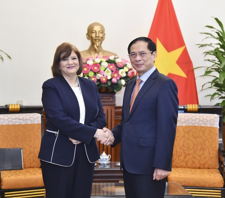 Foreign Minister Bui Thanh Son hosted a reception for Egyptian Ambassador to Vietnam Amal Abdel Kader Elmorsi Salama in Hanoi on July 7.