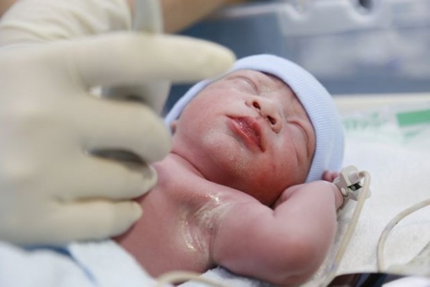 The baby, weighing 2.9kg, was born at 9:17am on January 30. (Photo: VNA)