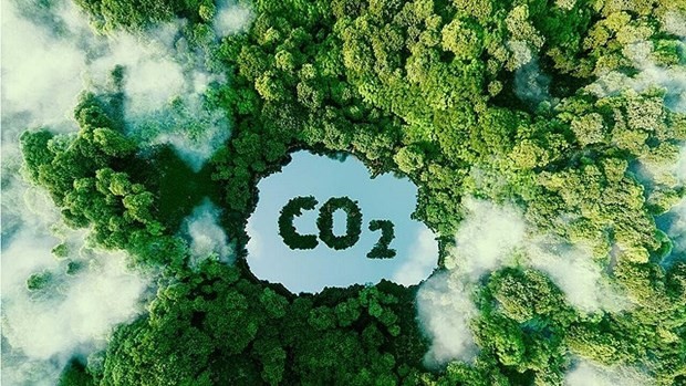 Illustrative image (Photo: baotainguyenmoitruong.vn)