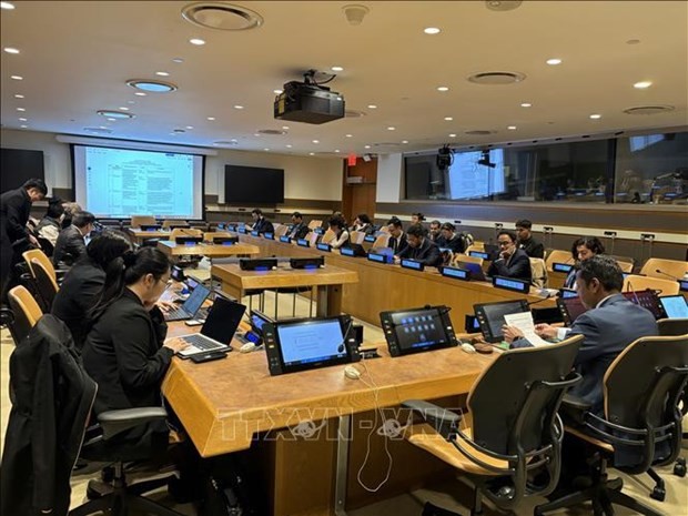 At the regular meeting of the Asia Pacific Group on March 28 (Photo: VNA)