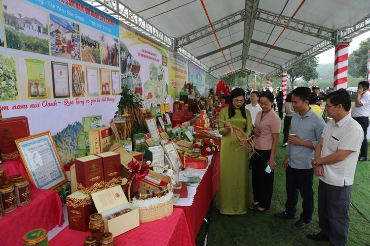 Delegates visit Danh Mountain ginseng products.