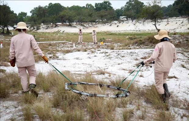 Members of MAT 19 search for explosives with specialised machines in the sandy area of Hai Lang district, Quang Tri province (Photo: VNA)