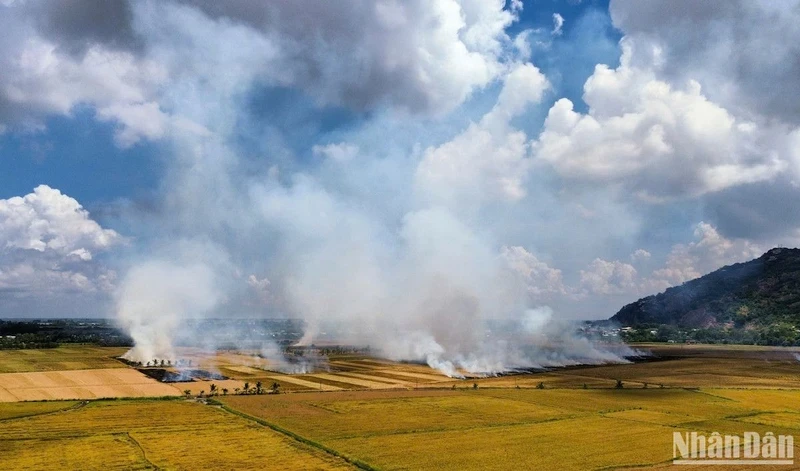 Burning straw in the Southwest region. (Photo: Quoc Dung)