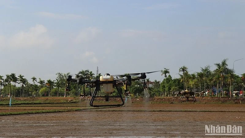 Using drones to spray pesticides in agricultural production in Mo Duc District.