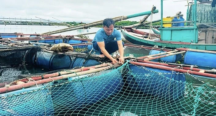 Aquaculture in Ha Tinh