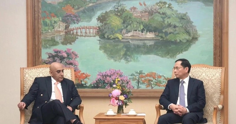 Deputy Prime Minister and Minister of Foreign Affairs Bui Thanh Son (R) and Ali Ijaz Ahmad, Chief Executive Officer of Singapore-based Makara Capital, at their meeting in Hanoi on January 15. (Photo: VNA)