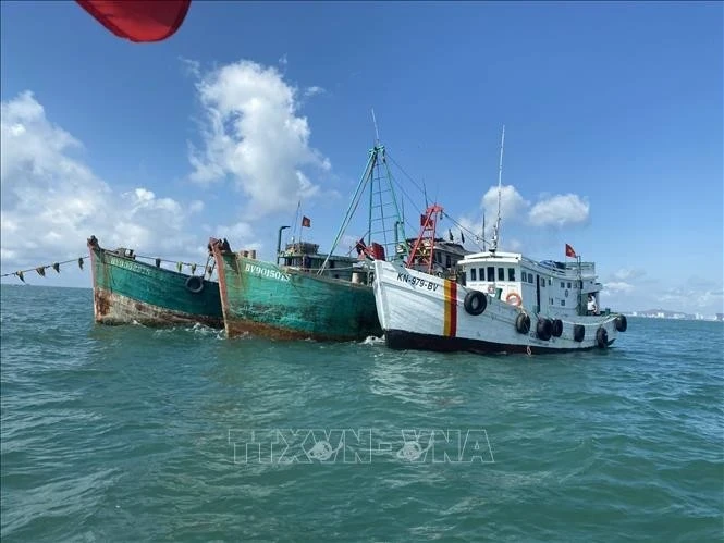 Fishing boats violating regulations in seafood exploitation are apprehended by the fisheries surveillance force at sea. (File photo: VNA)