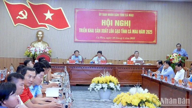 At the conference on rice production in Ca Mau on the afternoon of April 18.