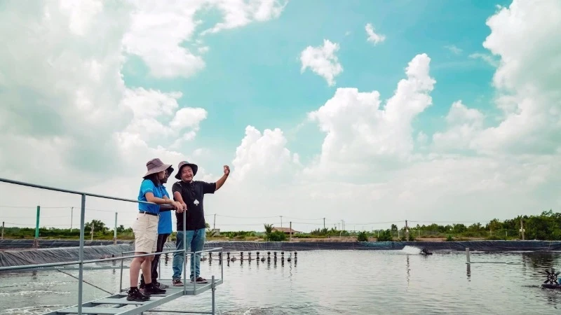 Aquaculture experts exchange experiences at a shrimp research farm, Can Gio district, Ho Chi Minh City. (Photo: THUC KHUE)