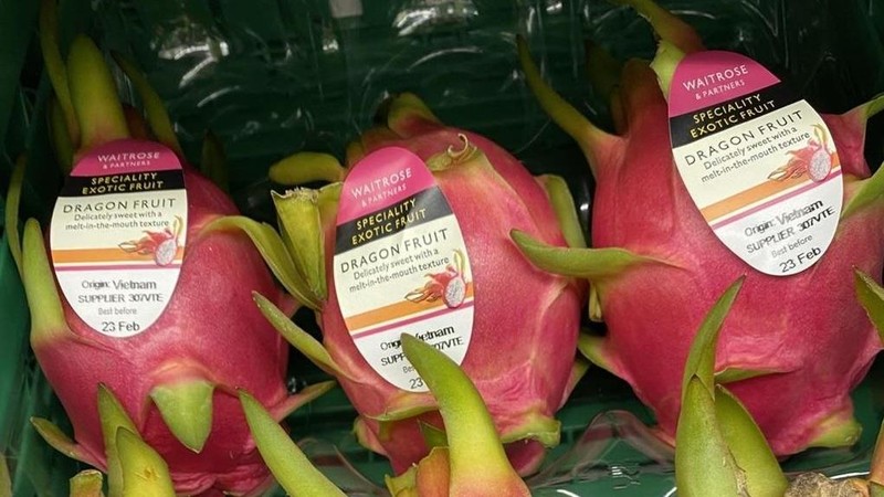 Vietnamese dragon fruit sold in th UK (Photo: VNA)