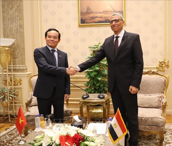 Deputy Prime Minister Tran Luu Quang (L) and First Deputy Speaker of the Egyptian House of Representatives Ahmed Saad El-Din Mohamed Abd El-Rehim. (Photo: VNA)