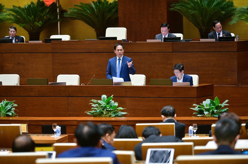  Minister of Foreign Affairs Bui Thanh Son speaking at the event (Photo: quochoi.vn)