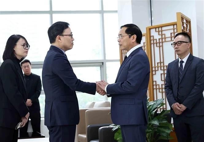 Deputy Prime Minister and Minister of Foreign Affairs Bui Thanh Son (second from the right) extends his condolences to the Ambassador of the Republic of Korea to Vietnam Choi Young-sam on December 31. (Photo: VNA)