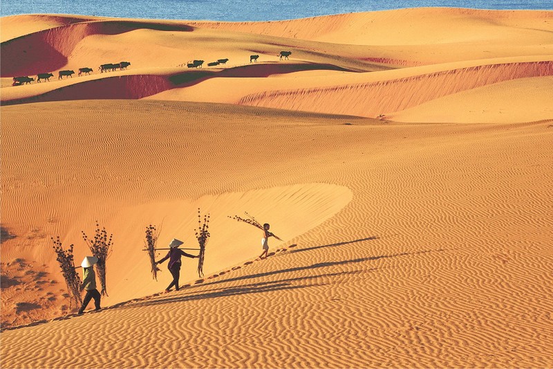 Mui Ne sand dune, a tourist attraction in Binh Thuan Province