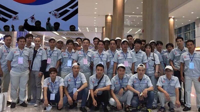 Vietnamese workers to be sent to the RoK. (Photo: Colab)