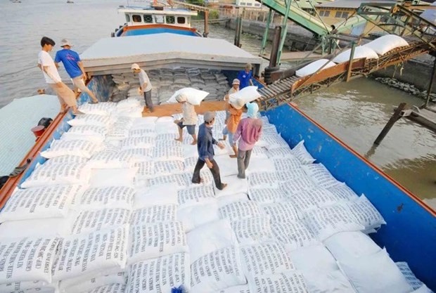 Many experts expect that rice export would reach 8 million tonnes with a total value of 4.6 billion USD in 2023. (Photo: VNA)