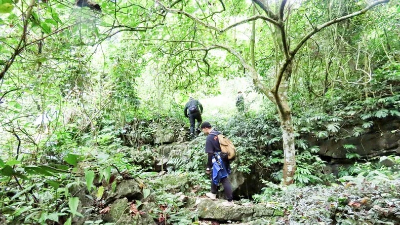 Staff of Than Sa-Phuong Hoang Nature Reserve regularly patrol to protect the forest.