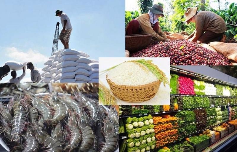 Vietnam’s total import and export value in 2024 is estimated at 786.07 billion USD, up 15.4% compared to 2023. (Illustrative image)