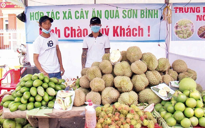 A fruit stall at the Khanh Son Fruit Festival, Khanh Hoa Province. (Photo: PHONG NGUYEN)