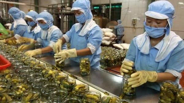 Vietnam’s exports expand about 13.8% year-on-year in the first half of this year. (Photo: VNA)