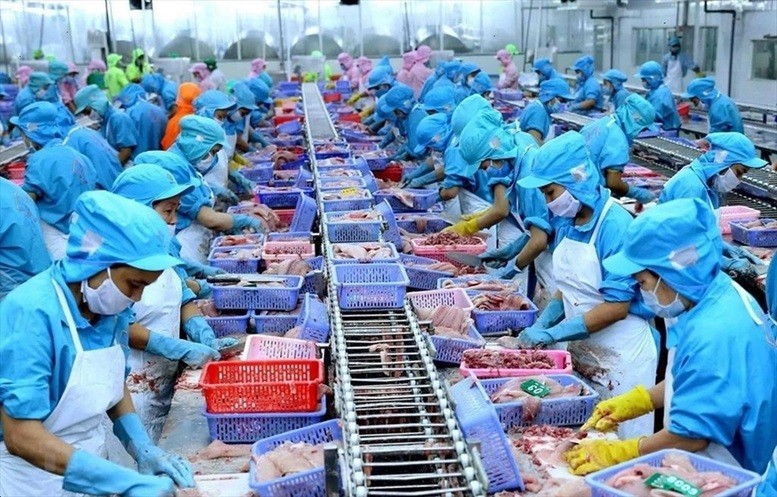 The plan is expected to improve Vietnamese exporters’ capacity to meet international standards on agricultural export.