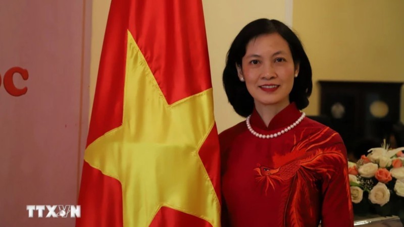 Vietnamese Ambassador to Morocco and Guinea-Bissau Le Kim Quy (Photo: VNA)