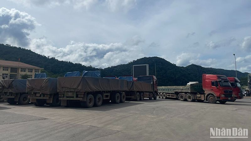 Freight trucks at the Cau Treo/Nam Phao International Border Gate. (Photo: NDO/Hai Tien)