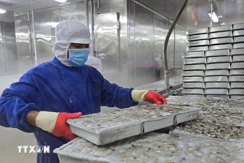 Vietnam's seafood sector is on track to meet its 10 billion USD export target for 2024. (Photo: VNA)