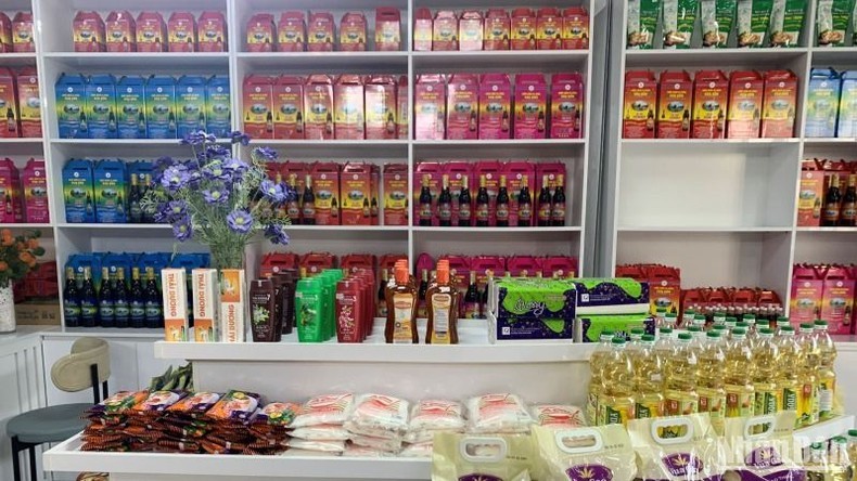 Quang Ninh's OCOP products on display.