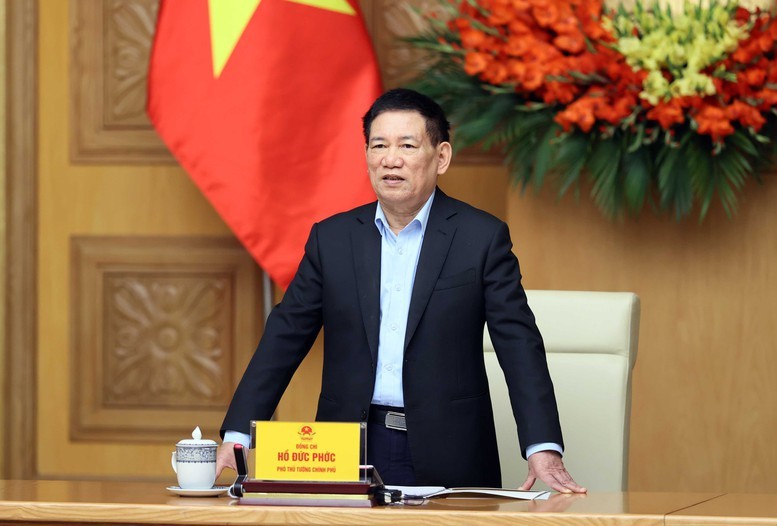 Deputy PM Ho Duc Phoc speaks at the conference. (Photo: VGP)